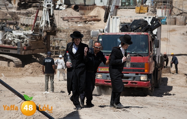 haradeem france hos 629 (37).jpg